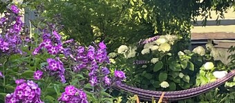 Cozy Cabin, Mountain Views, close to Vedder River