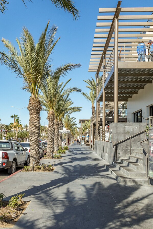 Une rue bordée de palmiers, une promenade piétonne et un bâtiment à l’architecture moderne.