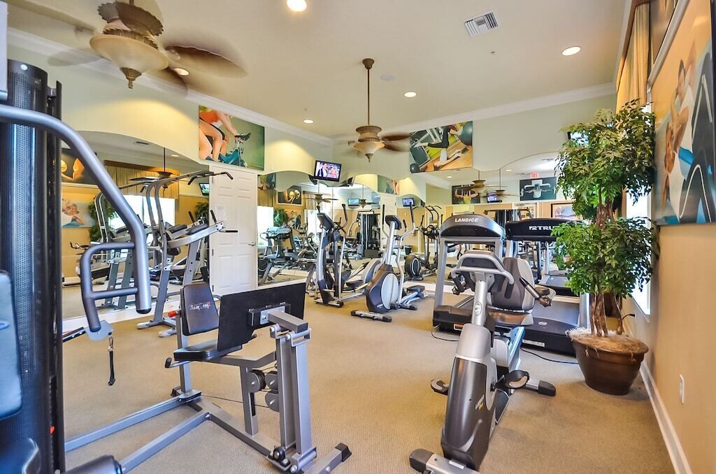 A gym with various exercise machines, a television, and a large potted plant.