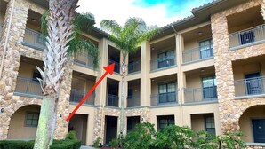 Un edificio de varios pisos con fachada de piedra, balcones y una palmera.
