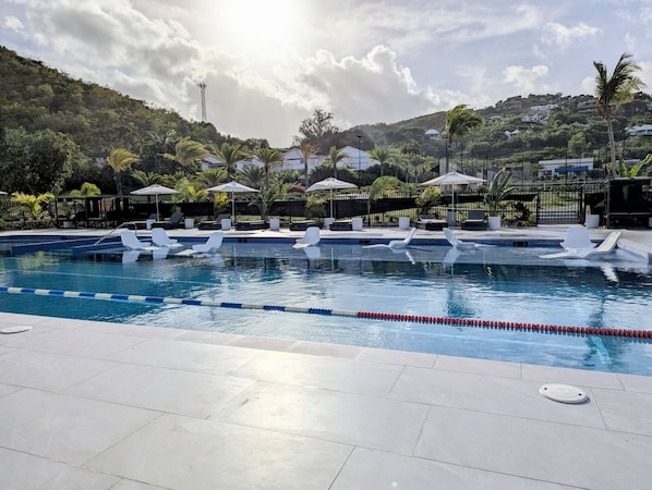 A swimming pool with lounge chairs and umbrellas, surrounded by greenery and houses.