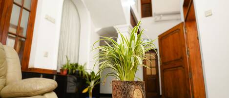A potted plant on a table in a room with a wooden door and a white wall.