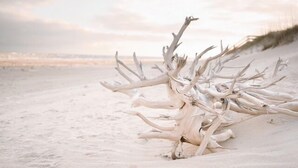 A large, white, antler-like structure on a sandy beach with a distant city skyline. - Newly built 6 bedroom home located at the end of a cul-de-sac for privacy. Large screened in porch (Bald Head Island)