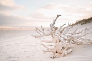 Beach - Newly built 6 bedroom home located at the end of a cul-de-sac for privacy. Large screened in porch (Bald Head Island)