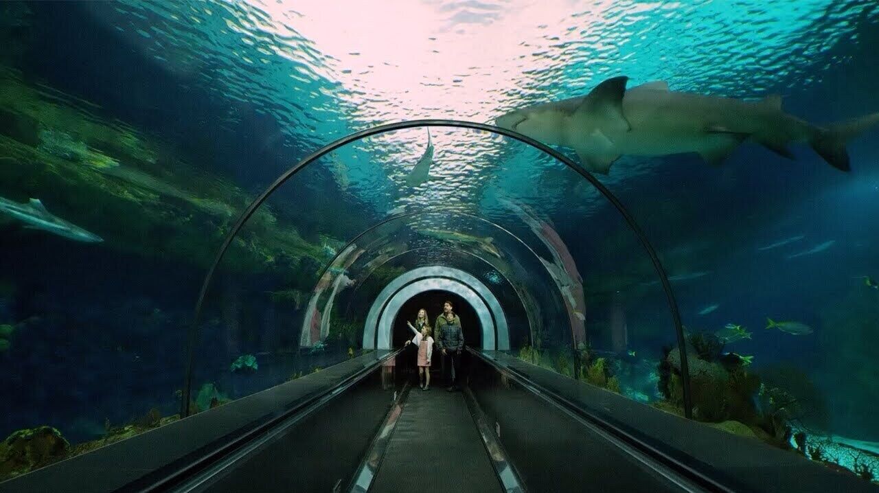 An underwater tunnel with a glass ceiling, a shark swimming above, and a person walking towards the end.