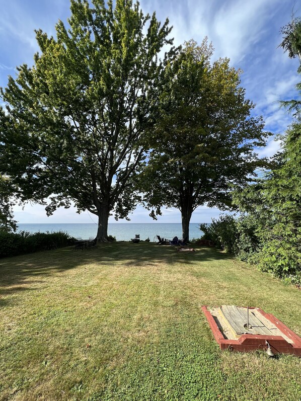 A grassy area with two large trees, a wooden deck, and a view of the ocean.