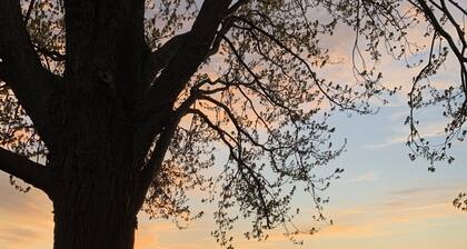 Lakefront home just minutes from wineries. Backyard sunsets!