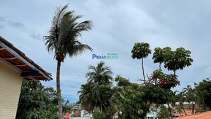 Zona residencial amb un pati enrajolat, una tanca metàl·lica decorativa i diversos arbres, incloent palmeres.