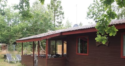"Friis" - 100m from the sea by Interhome