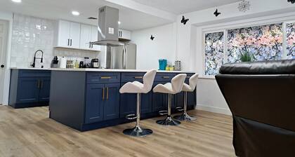 Contemporary Modern Villa