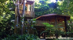 Property grounds - Palmira Studio 1Bed/1Bath (Humacao)