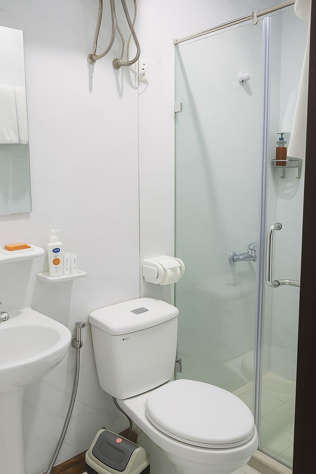 A modern bathroom with a glass shower enclosure, a toilet, a sink, and a mirror.