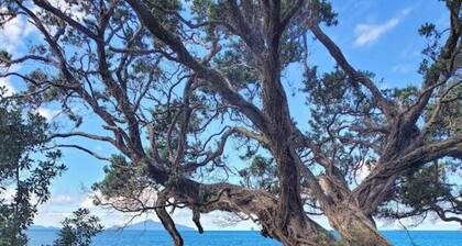 Waipū Thunder Domes no.1 offgrid eco glamping dome