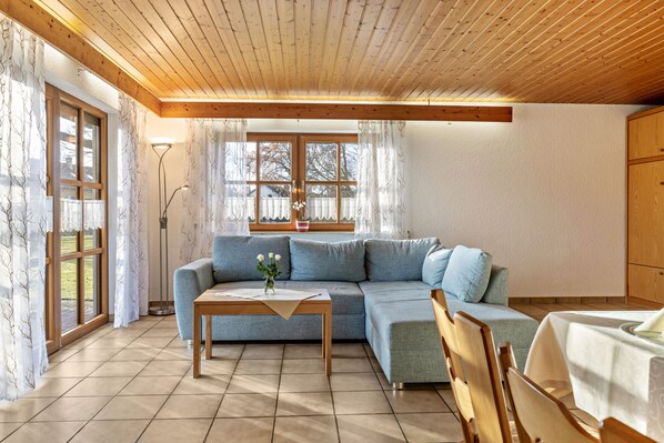 TV, ping pong, stereo - Apartment 'Ferienhaus Toni Rosenstube' with Private Terrace, Shared Garden and Wi-Fi (Hohenstein)