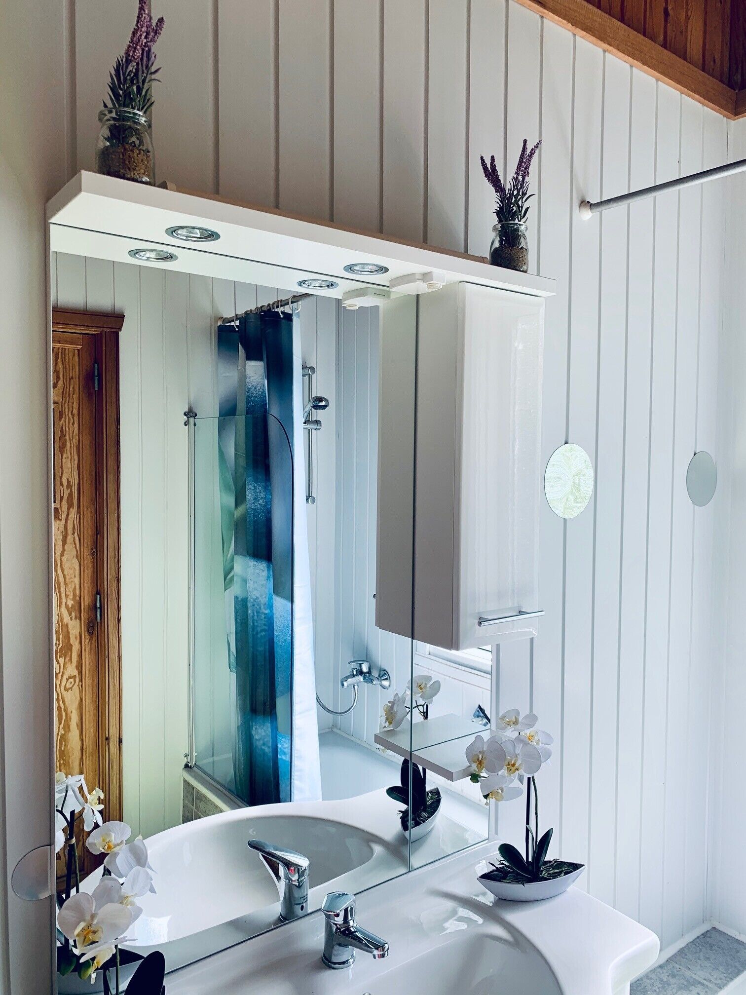 Shower, hair dryer