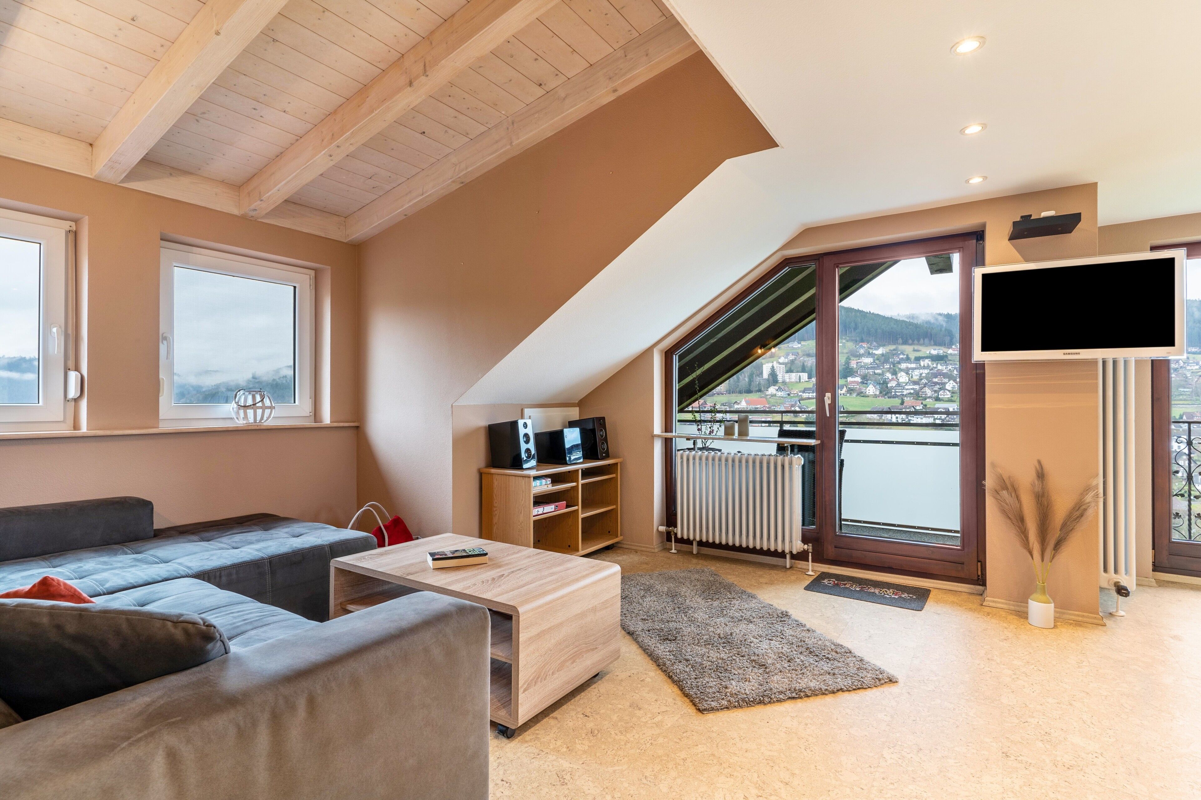 Fernseher, Stereoanlage