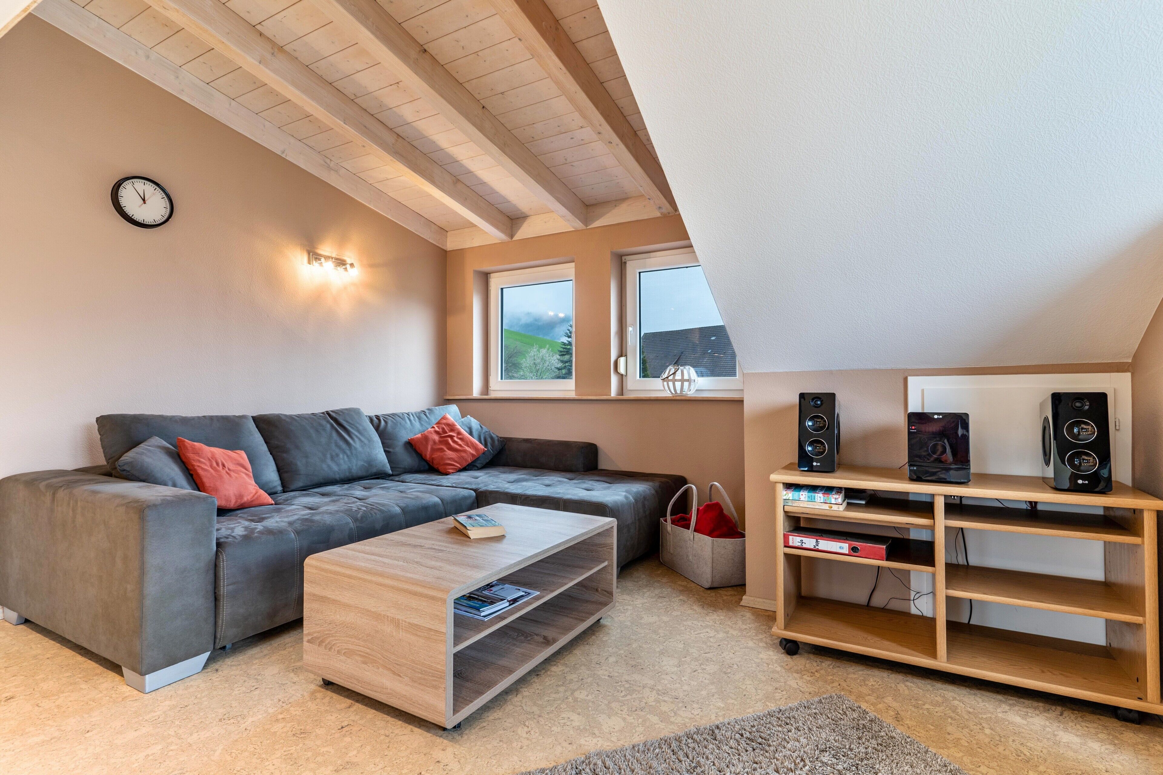 Fernseher, Stereoanlage