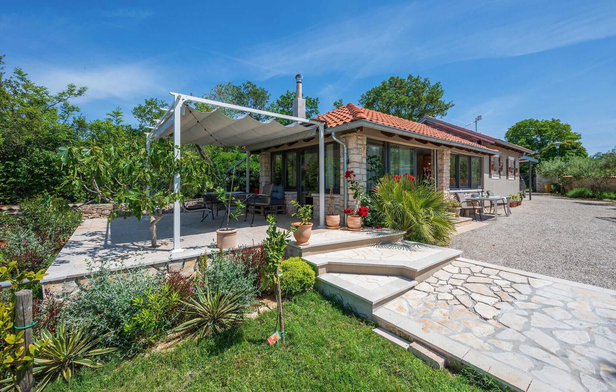 テラス / パティオ