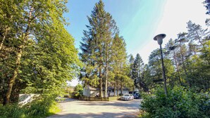 A residential street lined with tall trees and houses. - Nice apartment in Goslar with WiFi (Goslar)