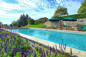 Pool - Villa Cona - San Donato In Collina ,Tuscany (San Donato in Collina)