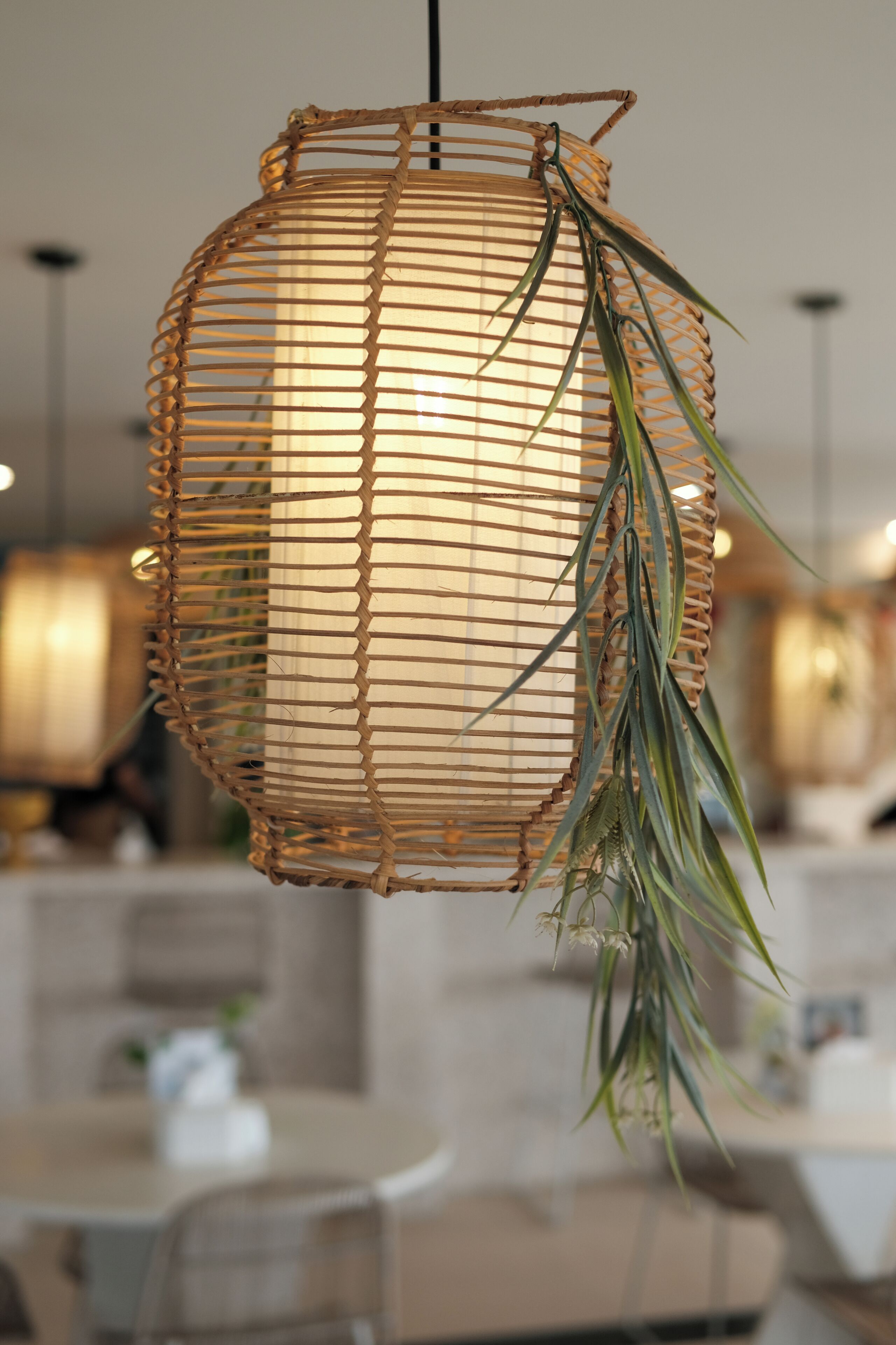 A woven hanging light fixture with a plant.