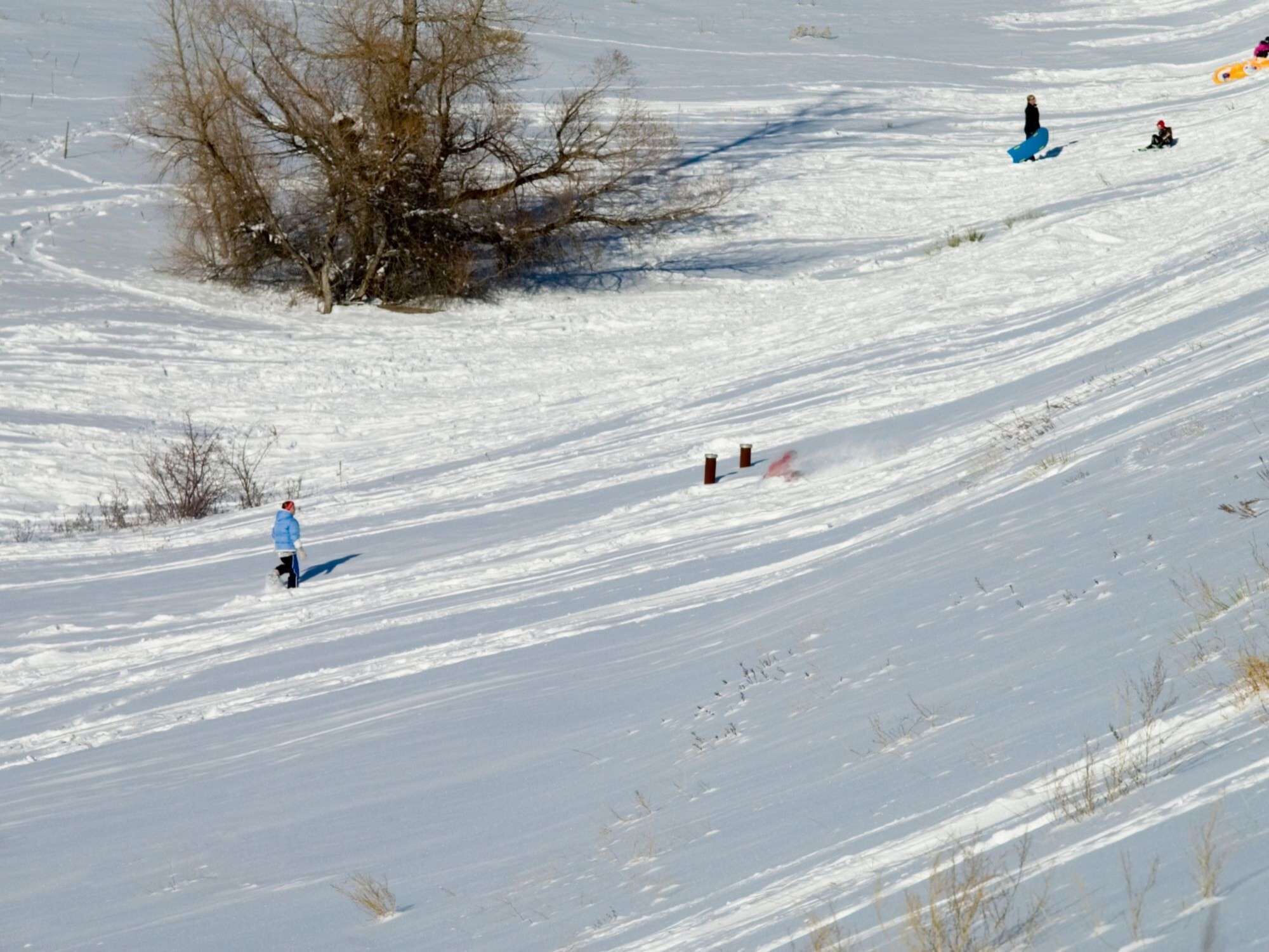 Eine verschneite Landschaft, eine Person in einer blauen Jacke geht vom Betrachter weg.