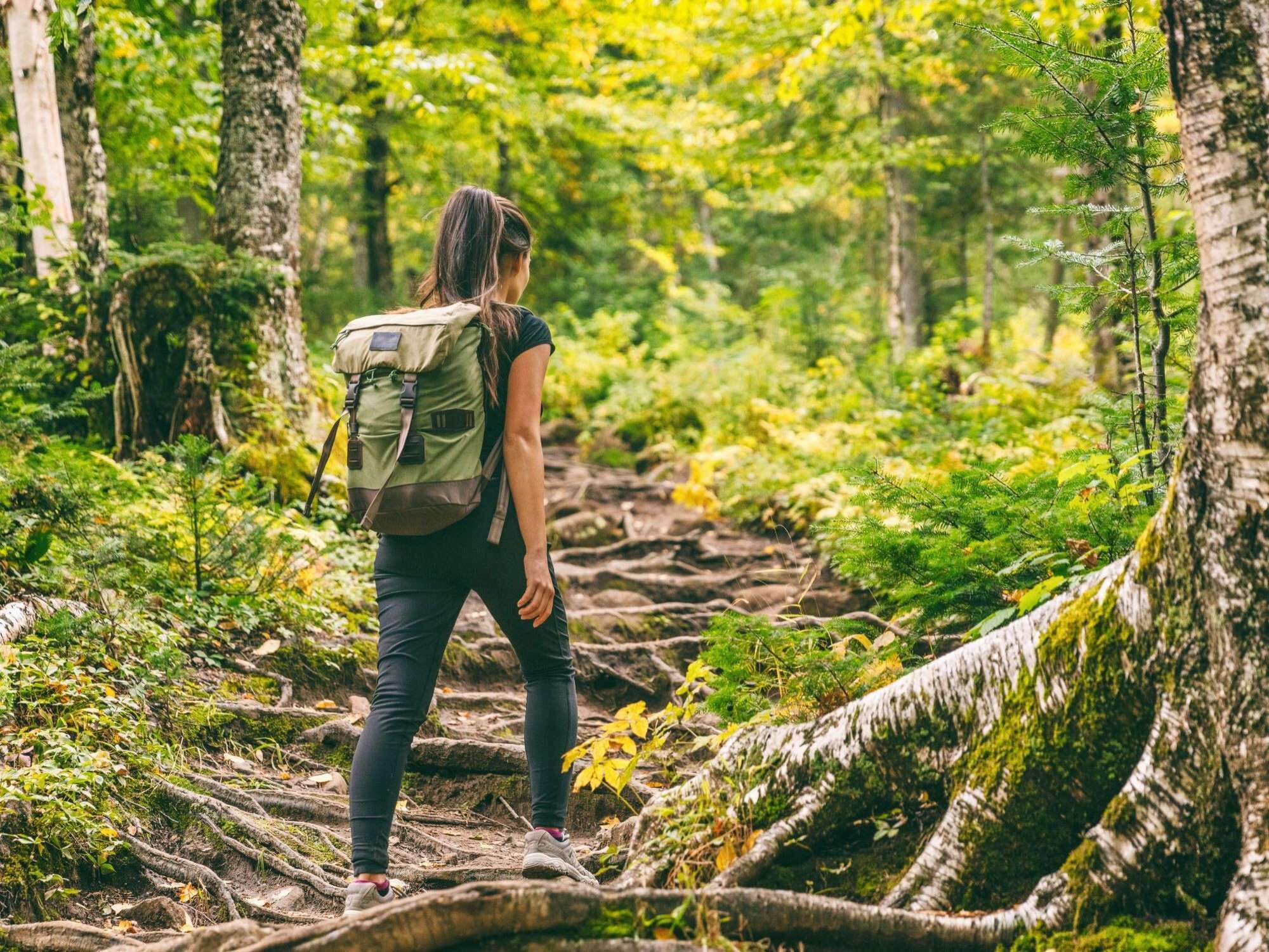 A person hiking on a forest trail with a backpack.