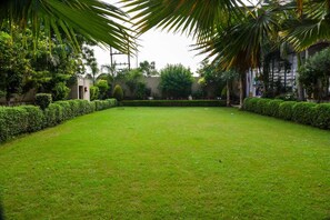 Vista al jardín