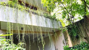 A building with multiple balconies covered in greenery, a paved courtyard, and a variety of plants. - Cozy luxury room with beautiful views (Battaramulla)