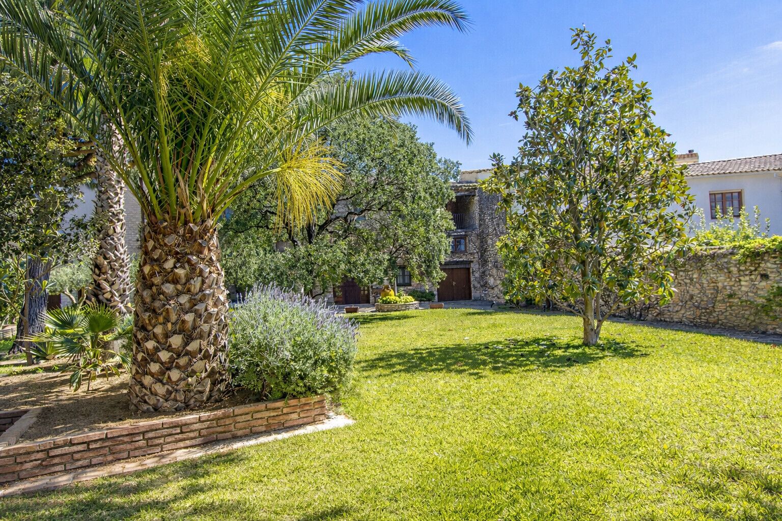 A well-maintained garden with a palm tree, a stone wall, and a building with a tiled roof.