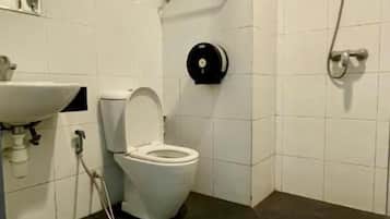 Shower, hair dryer, bidet, soap