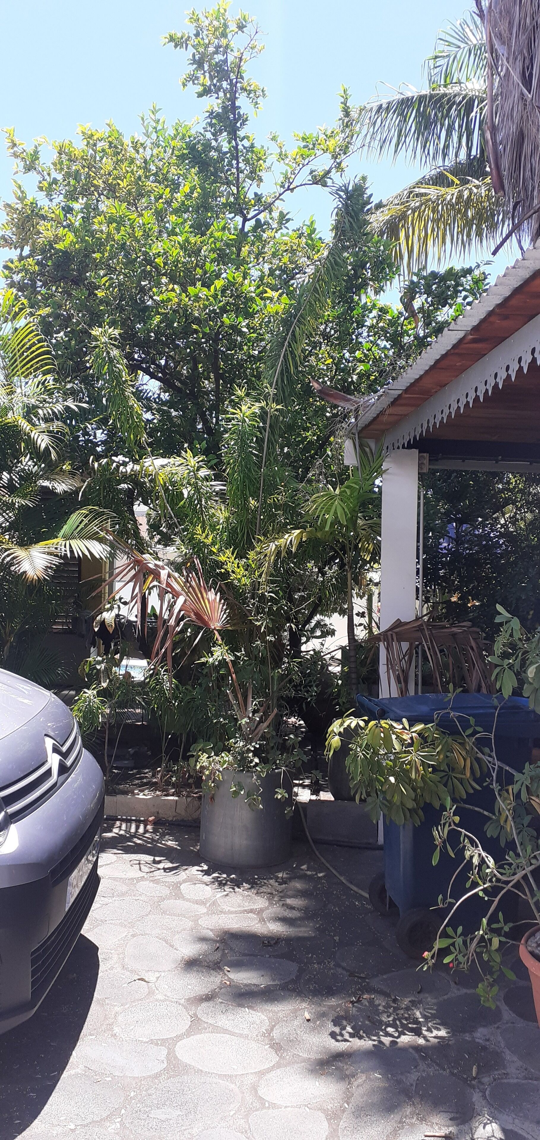 Terrein van de accommodatie