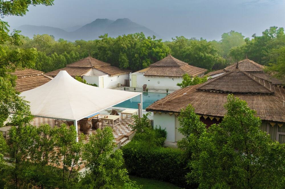 Aranya by Stories