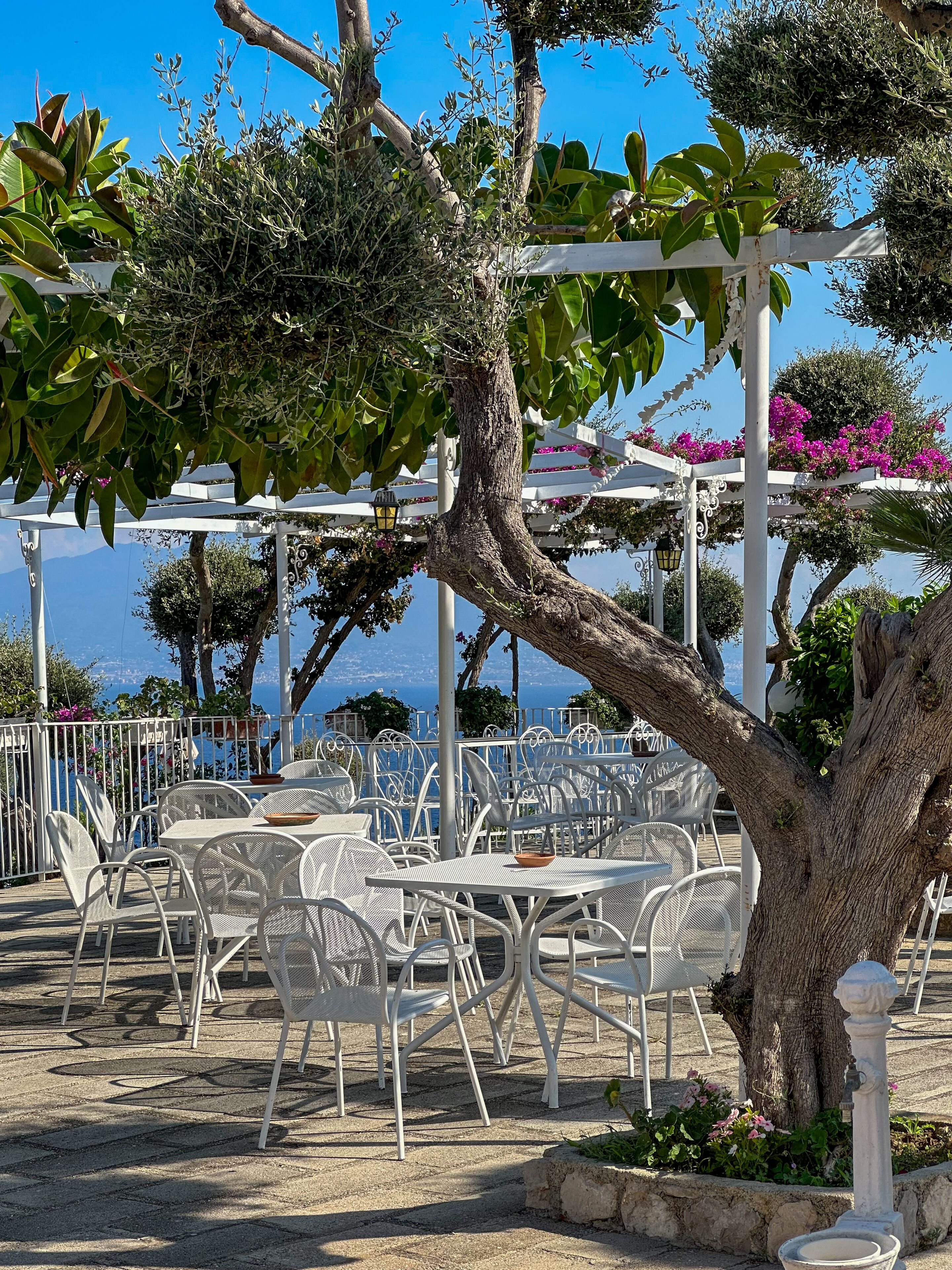 Un área de estar al aire libre con sillas y mesas de metal blanco, rodeada de follaje y vistas al mar.