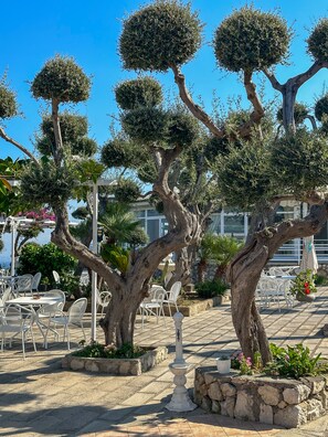 Exterior - Hotel Villa Lubrense (Massa Lubrense)