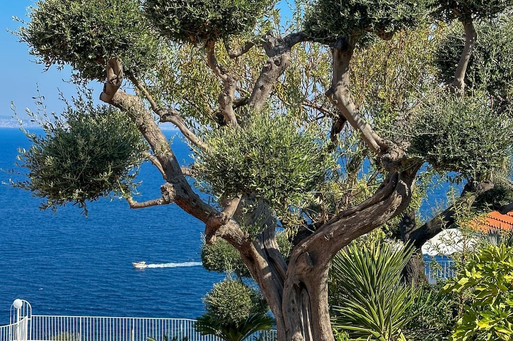 Hotel Villa Lubrense