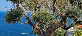 Hotel Villa Lubrense