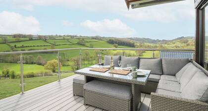 Barcud Coch - Red Kite