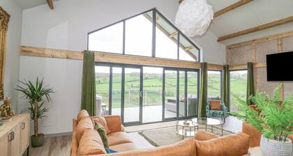 Barcud Coch - Red Kite