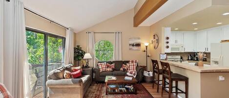 電視、壁爐、DVD 播放機、影像庫