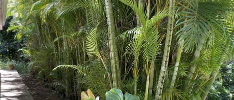 Overnatningsstedets område