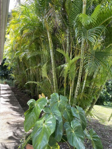 Villa à la Campagne (bordure rivière et Forêt)