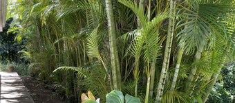 Villa à la Campagne