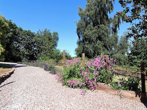 Un chemin de gravier traverse un jardin bordé d’une clôture en bois, avec un feuillage dense en arrière-plan.