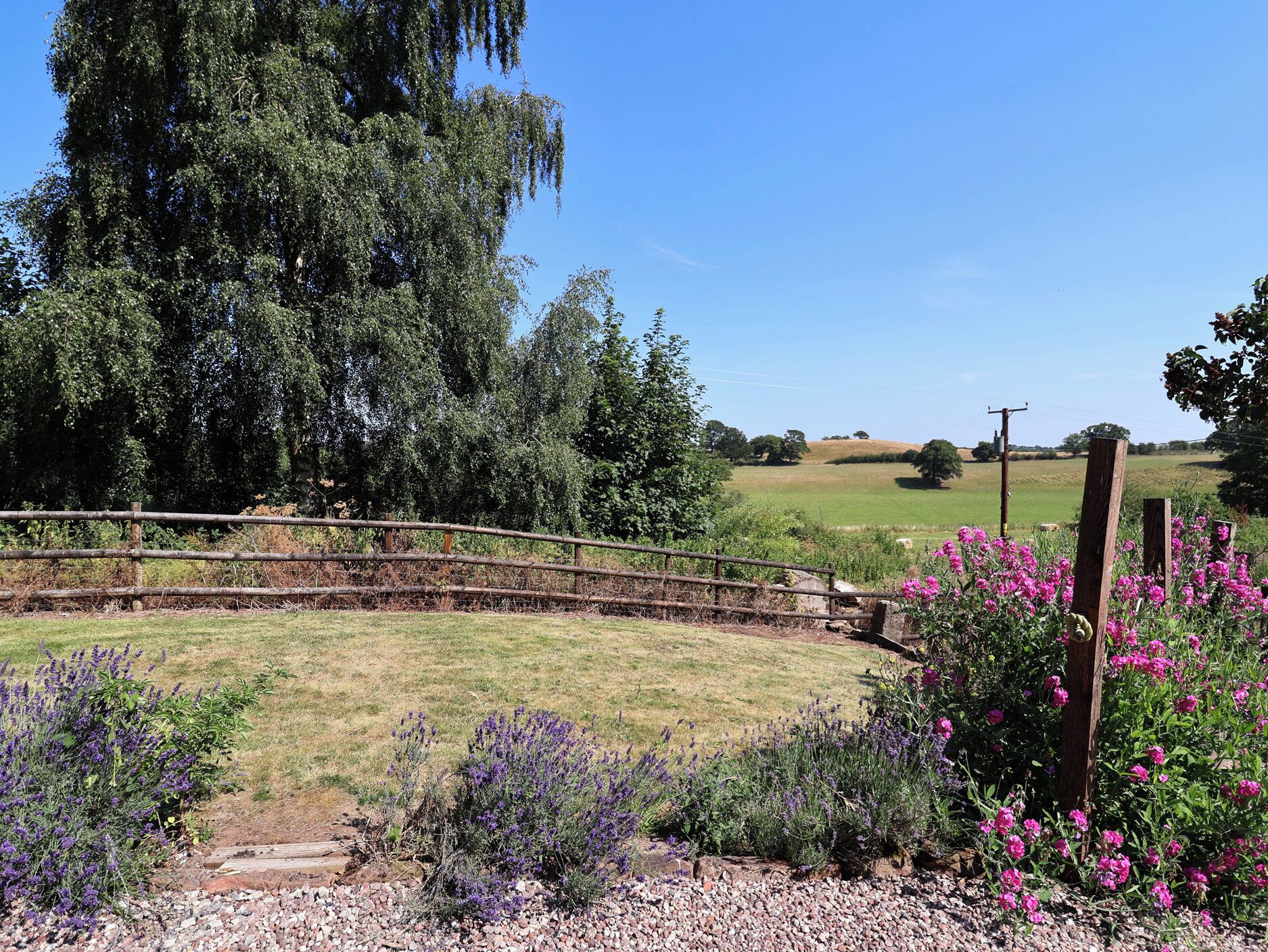 Ländliche Landschaft mit einer Holzbrücke, einem Feld und verschiedenen blühenden Pflanzen.
