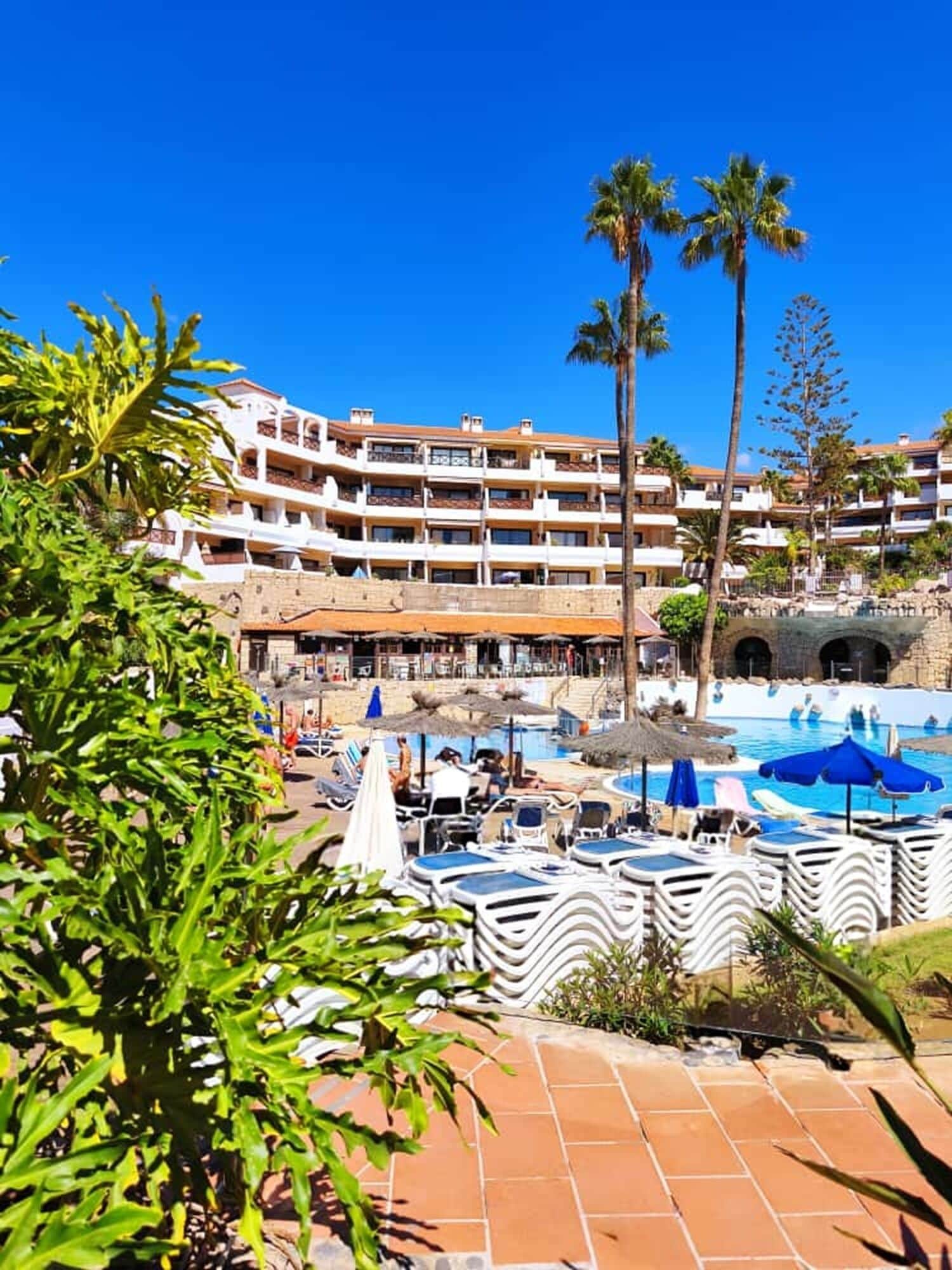 Een buitenzwembad en een verwarmd zwembad