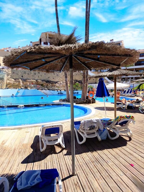 室外泳池、暖水池