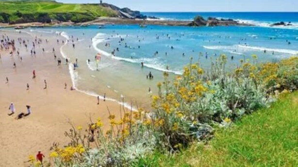 Una playa con gente nadando y caminando por la orilla, rodeada de follaje y un cielo despejado.