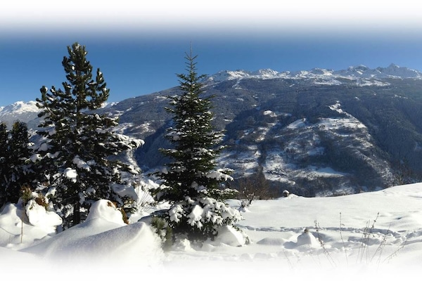 Deportes de invierno y ski
