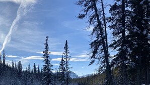 A snow-covered landscape with a metal fence, snow-laden trees, and a mountain in the background. - Adventure Await! 20minute to Abraham Lake Ice Bubbles, Full home+ Mountain views (Nordegg)